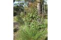 Property photo of 52 Jarrah Road Manjimup WA 6258