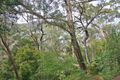 Property photo of 168 Riverview Avenue Dangar Island NSW 2083