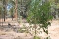 Property photo of 41 Gledsons Road Inglewood QLD 4387
