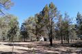 Property photo of 41 Gledsons Road Inglewood QLD 4387