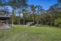 Property photo of 53 Birdlife Court Nerang QLD 4211