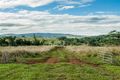 Property photo of 390 Donkin Road Utchee Creek QLD 4871