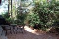 Property photo of 41 Campbell Drive Wahroonga NSW 2076