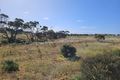 Property photo of LOT 436 High Street East Tickera SA 5555