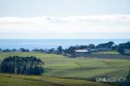 Property photo of 455 Preolenna Road Flowerdale TAS 7325
