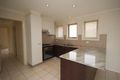 Property photo of 9 Nellie Hamilton Avenue Gungahlin ACT 2912