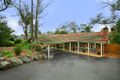 Property photo of 59 Eucalyptus Road Eltham VIC 3095