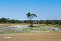 Property photo of LOT 1 Macnaghten Road Dover TAS 7117
