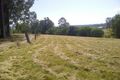 Property photo of 291 Mororo Road Mororo NSW 2469
