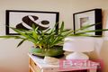 Property photo of 7A Shepherd Street Mollymook NSW 2539