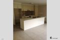 Property photo of 41 Custodian Crescent Ormeau QLD 4208