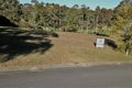Property photo of 22 The Saddle Tallwoods Village NSW 2430
