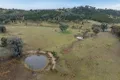 Property photo of 774 Monaghans Road Manildra NSW 2865