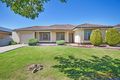 Property photo of 15 Flinders Parade Newton SA 5074