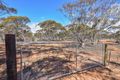 Property photo of LOT 54 Bower Boundary Road Brownlow SA 5374