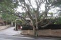 Property photo of 17/186-192 Old South Head Road Bellevue Hill NSW 2023