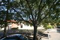 Property photo of 3 Ayers Avenue Daw Park SA 5041