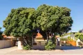 Property photo of 26B Phillips Street West Beach WA 6450