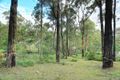 Property photo of 53 Mountain Road Cockatoo VIC 3781