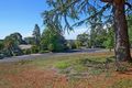 Property photo of 21 Green Lane Orange NSW 2800