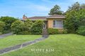 Property photo of 19 Fairview Road Mount Waverley VIC 3149