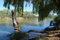Property photo of 212 River Street Corowa NSW 2646