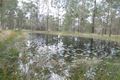 Property photo of 1006 Comboyne Road Cedar Party NSW 2429