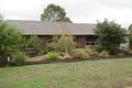 Property photo of 9 Sheringa Drive Morphett Vale SA 5162