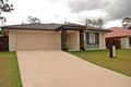 Property photo of 13 Dily Street Hillcrest QLD 4118