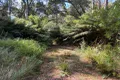 Property photo of 306 Coopers Road Rocky Cape TAS 7321