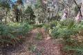 Property photo of 306 Coopers Road Rocky Cape TAS 7321