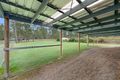 Property photo of 120 Hills Road South Bingera QLD 4670