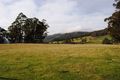 Property photo of 50 New Country Marsh Road Levendale TAS 7120