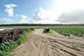 Property photo of 297 Carabooda Road Carabooda WA 6033