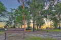 Property photo of 38 Yalumba Street Kingston QLD 4114