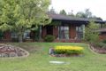 Property photo of 278 Tracy Street Lavington NSW 2641