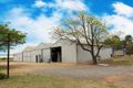 Property photo of 87 Trenerry Avenue Loxton SA 5333