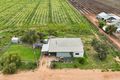 Property photo of 65 Forward Avenue Loveday SA 5345