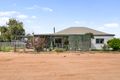 Property photo of 65 Forward Avenue Loveday SA 5345