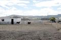 Property photo of 66 Spring Creek Road Killarney QLD 4373