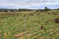 Property photo of 799 Taylorville Road Taylorville SA 5330
