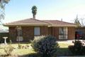 Property photo of 20 Cedar Avenue Renmark SA 5341