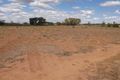 Property photo of 174 Vance Road Leeton NSW 2705