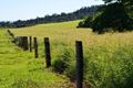 Property photo of 5 Butler Road Bingil Bay QLD 4852