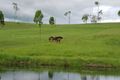 Property photo of 161 Dead Horse Lane Toogoolawah QLD 4313