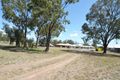 Property photo of 13 Harcla Close Biloela QLD 4715