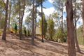 Property photo of 80 Dan Meurant Drive Curra QLD 4570