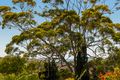 Property photo of 16/8 Westminster Avenue Dee Why NSW 2099