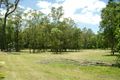 Property photo of 6 Blackbean Court Black Mountain QLD 4563