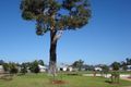 Property photo of 26 Lakeview Boulevard Vasse WA 6280